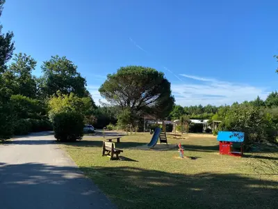Paysage naturel près de le camping