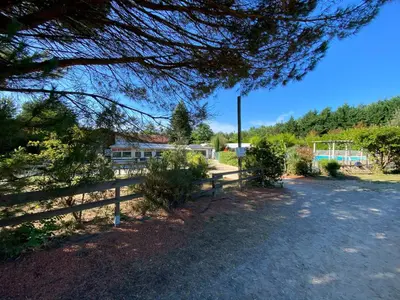 Jardin de l'établissement Mobile Home Zen pour 4 à 6 pers camping 4* Saint Paul Les Dax