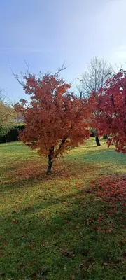 Jardin de l'établissement Au Doux Repos