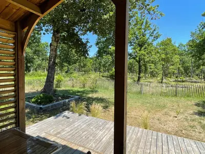 Jardin de l'établissement Chalet au calme dans la pinède
