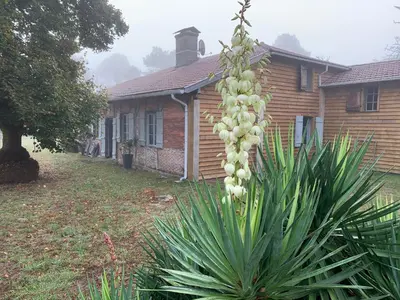 Jardin de l'établissement Maison Magnolia