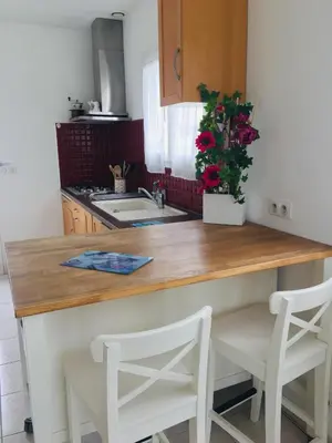 Cuisine ou kitchenette dans l'établissement Villa HESTIA