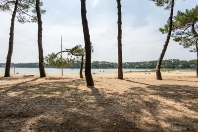 Paysage naturel près de l'appartement