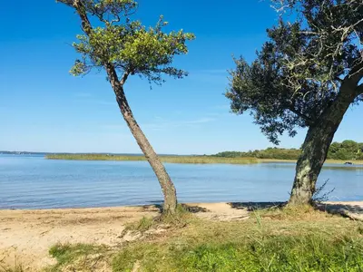 Paysage naturel près de la maison de vacances