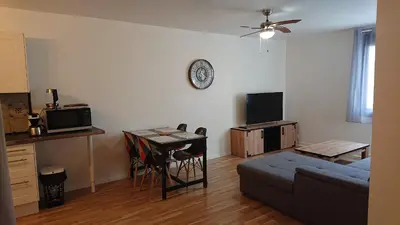 Télévision ou salle de divertissement dans l'établissement Appartement T2 45 M2 Meublé 3 étoiles tout confort hyper centre de Dax