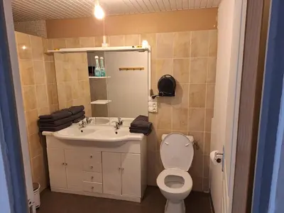 Salle de bains dans l'établissement Agréable Studio tout équipé
