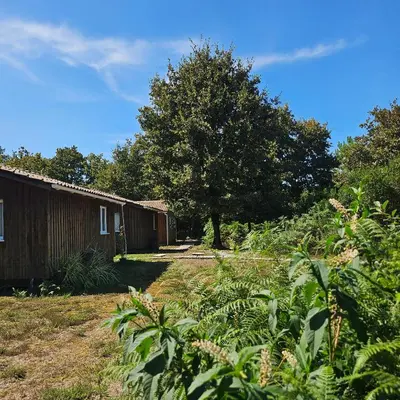 Jardin de l'établissement AE village