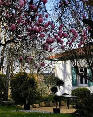 Jardin de l'établissement L'écrin des Gaves