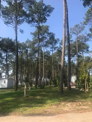 Paysage naturel près de le camping