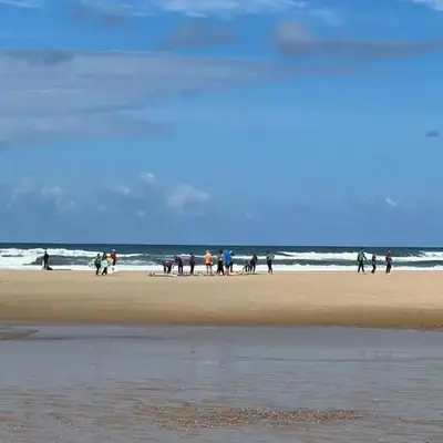Escape MobilHome aux Dunes de Contis