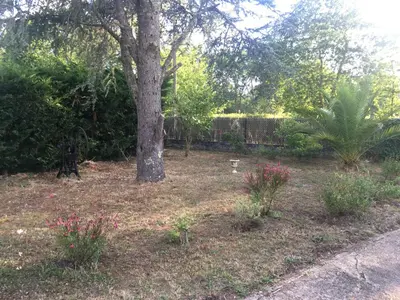 Jardin de l'établissement Cool Landes