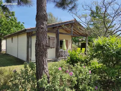 Jardin de l'établissement Chalet rénové, environnement très calme, piscines intérieure et extérieure chauffées, Bord du lac de Biscarosse Parentis