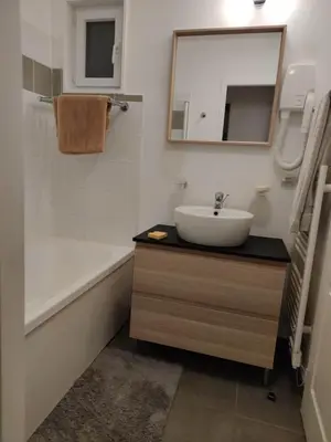Salle de bains dans l'établissement Chalet rénové, environnement très calme, piscines intérieure et extérieure chauffées, Bord du lac de Biscarosse Parentis
