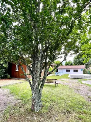 Jardin de l'établissement Villa spacieuse à Sainte-Eulalie-en-Born, terrasse, piscine privée