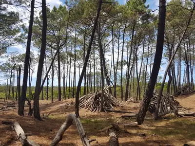 Paysage naturel près de l'appartement