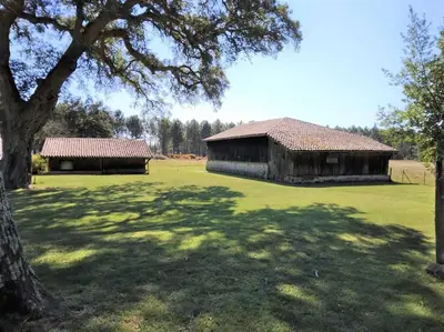 Jardin de l'établissement LE PETIT FROUAS SUD