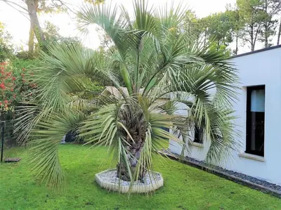 Jardin de l'établissement VILLA LUCIA, moderne avec piscine tempérée, ping pong, proche plage à Vieux-Boucau