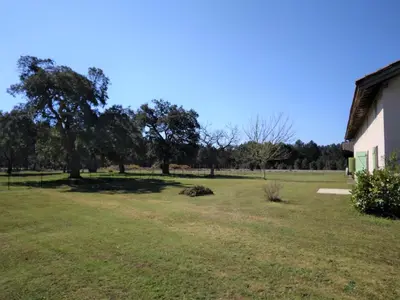 Jardin de l'établissement LE PETIT FROUAS CENTRE