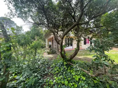 Jardin de l'établissement Villa MarieAnne