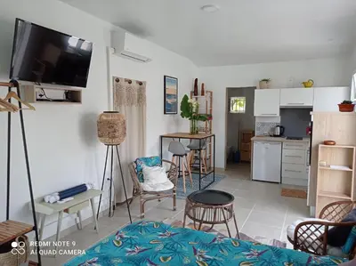 Cuisine ou kitchenette dans l'établissement Studio Gujan-mestras