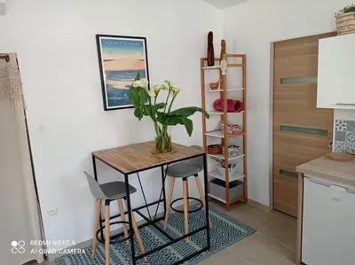 Cuisine ou kitchenette dans l'établissement Studio Gujan-mestras