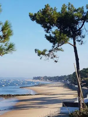 Paysage naturel près de l'appartement