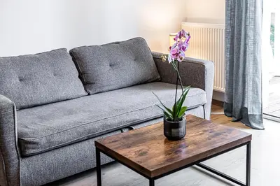 Coin salon dans l'établissement Atlantic Selection - Le Galupat - Au calme avec jardin & parking