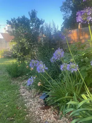 Jardin de l'établissement La Maison Florence