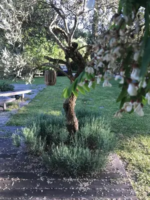 Jardin de l'établissement OSTAL 158