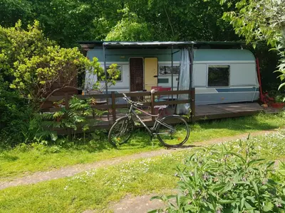 Jardin de l'établissement L'Hermitage au sein d'un jardin forêt près de l'océan