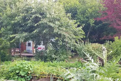 Jardin de l'établissement L'Hermitage au sein d'un jardin forêt près de l'océan