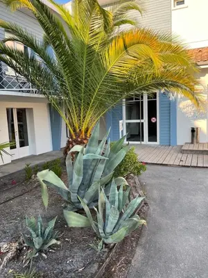 Jardin de l'établissement Home Place Apartments - Gujan Arcachon