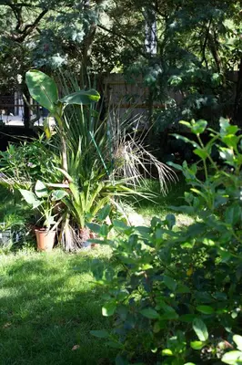 Jardin de l'établissement PYLA: Feel-good family home, 2 min walk from beach