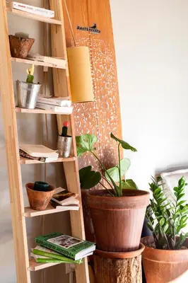 Plan de l'établissement Nature & Sun, Natural lifestyle - Hossegor