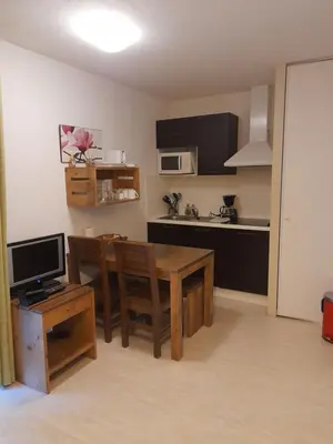 Cuisine ou kitchenette dans l'établissement Appartement les Terrasses du Lac