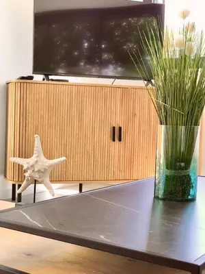 Télévision ou salle de divertissement dans l'établissement La Villa Canopée - Piscine chauffée-Fibre-Clim-Jacuzzi