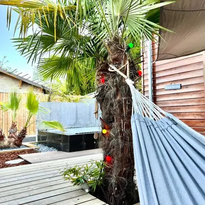 Jardin de l'établissement La Villa Canopée - Piscine chauffée-Fibre-Clim-Jacuzzi