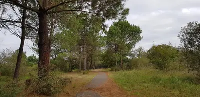 Paysage naturel près de le B&B/chambre d'hôtes