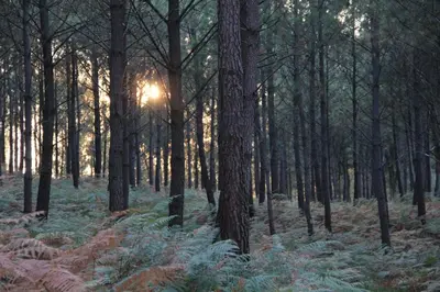 Paysage naturel près de la maison de vacances