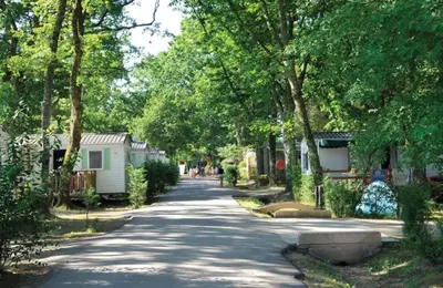 Jardin de l'établissement Mobil home 6 personnes camping 4* Mimizan