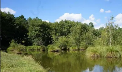 Paysage naturel près de la maison de vacances