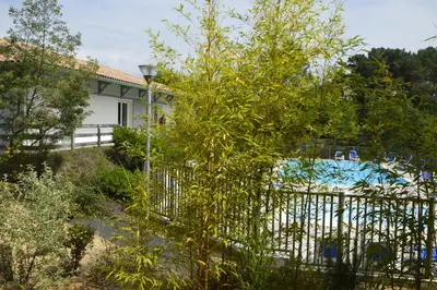 Piscine de l'établissement OSoleMio Moliets ou située à proximité