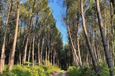 Paysage naturel près de la maison d'hôtes