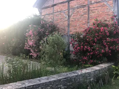 Jardin de l'établissement Bel appartement et jardin chez Maison Devaux