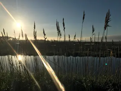 Paysage naturel près de la maison de vacances