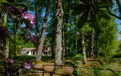 Jardin de l'établissement Parc de L'Aiguade