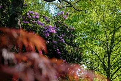 Jardin de l'établissement Parc de L'Aiguade