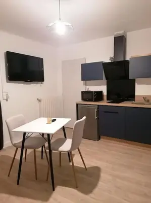 Cuisine ou kitchenette dans l'établissement Grand studio indépendant