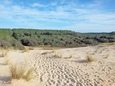 Paysage naturel près de la maison de vacances