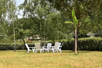 Jardin de l'établissement Calm house, swimming pool and garden